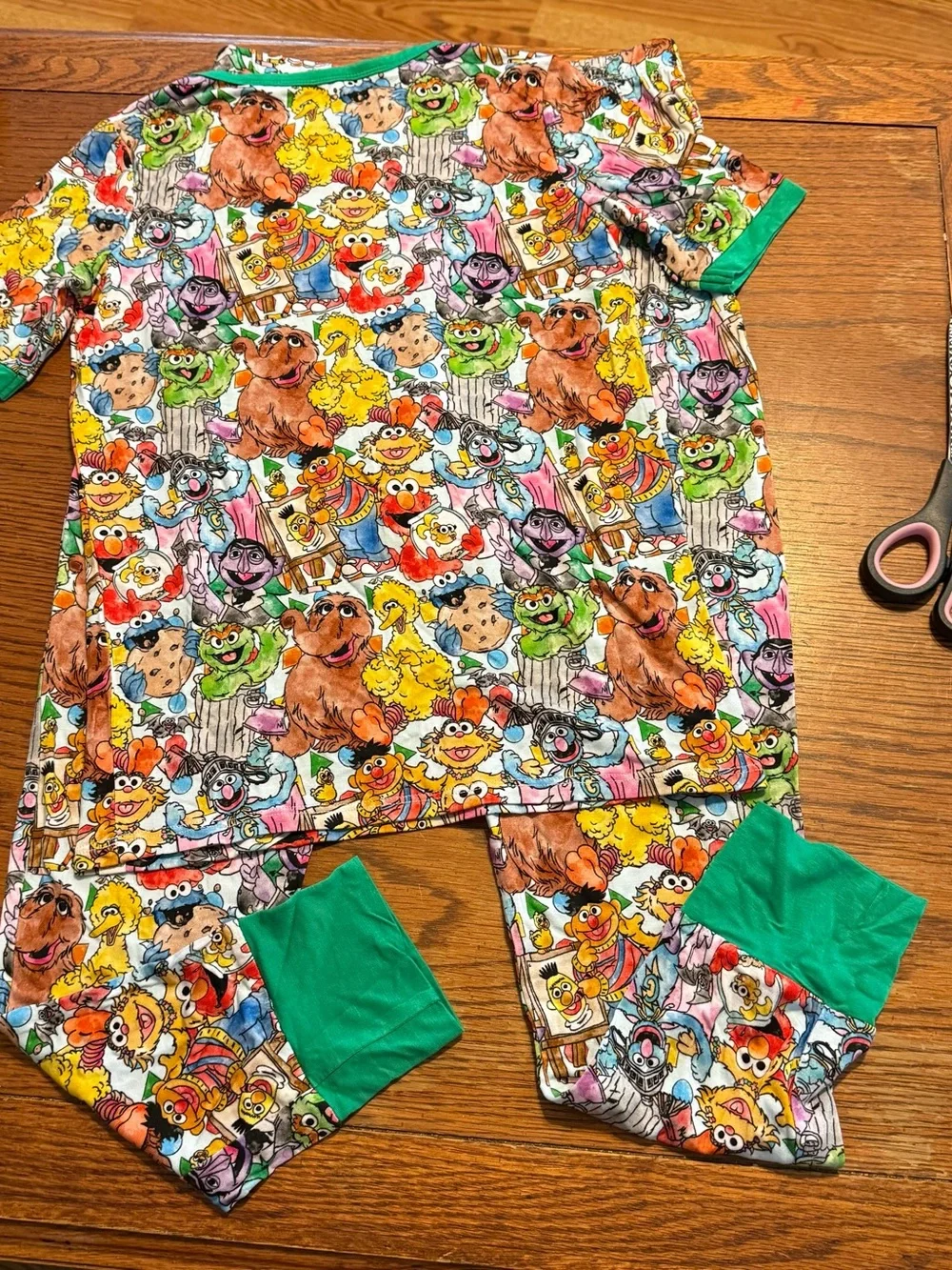 Little Snuggles Boys Girls Size 10T Sesame Street Bamboo Two Piece Pajamas New